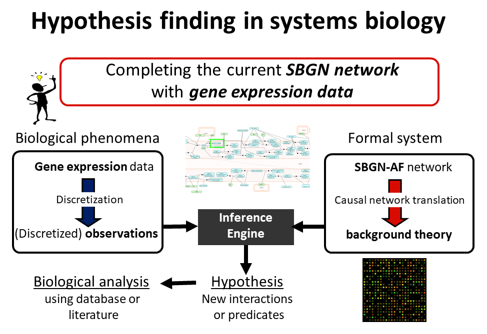 Hypothesis finding in systems biology